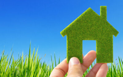 Green Checklist: Turn Your Home Into a Green, Clean Oasis