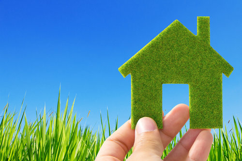 Green Checklist: Turn Your Home Into a Green, Clean Oasis